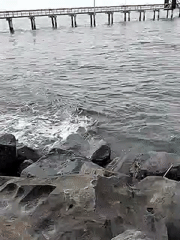 Morning maritime activity observed in Lhokseumawe, Indonesia waterfront