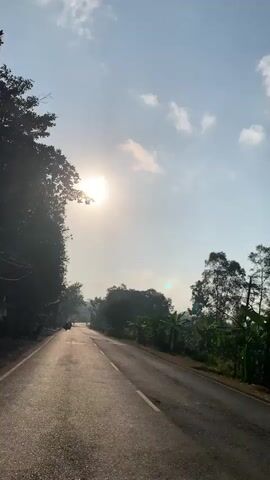 A vertical video shows a road on a sunny day. Trees line both sides of the road, with lush green foliage on the right and darker, denser trees on the left. The sun is high in the sky, casting a bright light and creating lens flares. The road itself is asphalt with yellow lane markings. There are a few small figures on motorcycles visible in the distance on the left side of the road. The sky is a clear blue with scattered white clouds. The overall impression is a peaceful, scenic drive through a rural or tropical area.