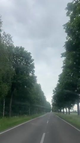 The video shows a car driving down a straight asphalt road on a cloudy day. Tall green trees line both sides of the road, forming a tunnel-like effect. The road has white lane markings and grass verges on either side. There are raindrops visible on the windshield. The overall scene is rural and quiet.