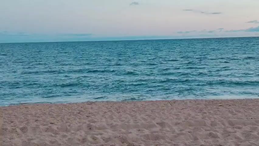 A slow pan across a sandy beach toward a blue ocean under a pale, cloudy sky. A piece of driftwood lies on the sand to the right of center.