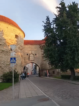 Tallinn's medieval towers and walls in golden evening light