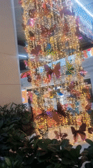 Delhi airport features butterfly display amid waiting passengers