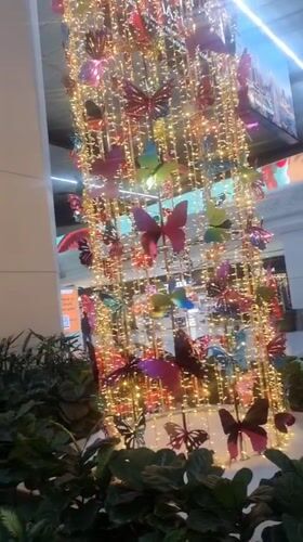 Delhi airport features butterfly display amid waiting passengers