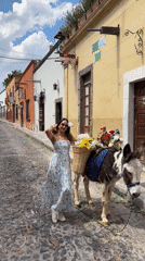 Woman with flower-carrying donkey spotted in San Miguel de Allende