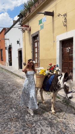 Woman with flower-carrying donkey spotted in San Miguel de Allende