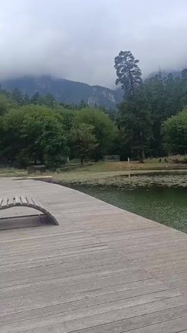 The video shows a view of a lake from a wooden pier. The lake is surrounded by trees and mountains in the background. The sky is cloudy. There are lily pads on the surface of the lake. In the distance, there are some people and a boat on the lake.