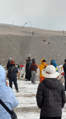 Tourists observe seagulls at lakeside platform in Hor town