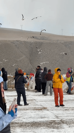 Tourists observe seagulls at lakeside platform in Hor town
