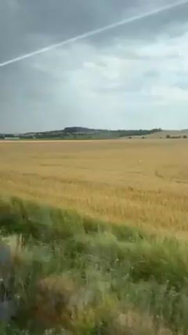 The video shows a view from a moving train window of a large, golden wheat field under a cloudy sky. A contrail is visible in the sky. A yellow and grey railroad sign with a left arrow is briefly visible at the left edge of the screen. In the distance are some trees and a small hill.