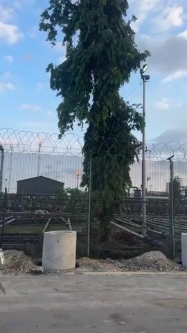 The video shows an industrial facility behind a chain-link fence topped with barbed wire. The facility appears to be a refinery or processing plant, with numerous pipelines and tanks visible. There are concrete bollards near the fence. A tall tree stands next to one of the bollards. The sky is partly cloudy. A bird flies across the sky. The camera slowly zooms in toward the fence.