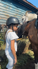 Horses groomed and bridled at a small equestrian facility