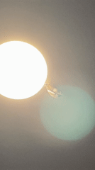 Butterfly spotted on ceiling light fixture in Nusa Dua