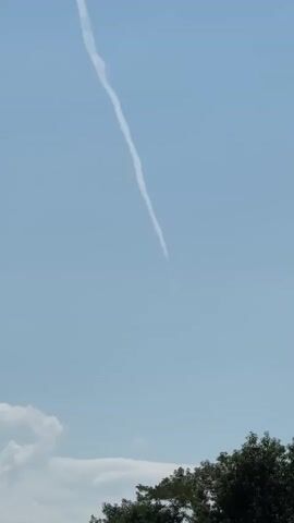 A bird flies across a bright blue sky with a thin white contrail extending diagonally from the top left to the bottom right of the frame. In the lower portion of the frame, the tops of dark green trees and some fluffy white clouds are visible. The bird is in mid-flight, with its wings spread. The contrail appears to be from an airplane.