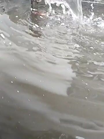 The video shows a water feature, likely a pond or basin, with water flowing into it. The water appears dark and contains some debris and bubbles. Concrete structures and some small plants surround the water. A white pipe is visible, seemingly contributing to the water flow. The scene then shifts to focus on a statue of a woman, depicted in traditional Indonesian attire (a black kebaya-style top with gold floral motifs and a brown patterned batik skirt). She has her hair in a bun, adorned with gold ornaments, and holds a small black bowl or hat. The statue is positioned near the water feature, next to a potted snake plant. In the background, a house with a purple wall and a reddish-brown tiled roof is visible. The setting appears to be an outdoor area, possibly a courtyard or garden, during the daytime.