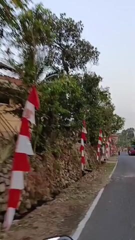 The video shows a person on a motorcycle, riding down a rural road. The road is lined with trees and a stone wall. Red and white flags are displayed along the road. The motorcycle is moving at a moderate speed. The person on the motorcycle is wearing a helmet. The scene appears to be in a tropical or subtropical region, based on the vegetation. The flags suggest a national celebration or event.