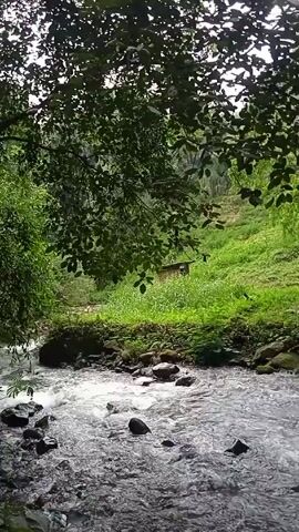 The video shows a river flowing in a forested area. The water is turbulent and flows over rocks. On the banks of the river, there are trees and grass. There are also people in the area, who appear to be relaxing or resting. One individual wades into the river, walking from the shore toward the opposite bank. A small wooden structure is visible on the hillside in the distance.
