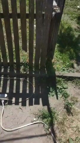 The video opens with a shaky, handheld shot of a grassy area with some bushes and trees. A green hose is visible on the left side of the screen. The camera then pans to the right, revealing more greenery and a blue sky with scattered clouds. The latter half of the video focuses on the sky and trees, with a wooden structure visible in the distance. The scene appears to be an outdoor yard or garden.