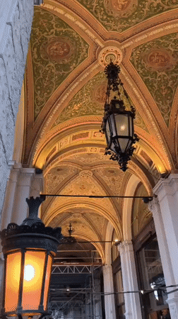 Vienna's ornate architecture at dusk, Rathaus to café terrace.