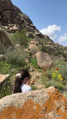 The video shows a girl with long dark hair, wearing a white shirt, in a rocky, mountainous landscape. The camera initially focuses on the girl, positioned in the lower right frame, before tilting upwards to capture the mountain range. The terrain is characterized by large boulders, interspersed with patches of vegetation, including red and yellow wildflowers. The sky above is blue with scattered white clouds.