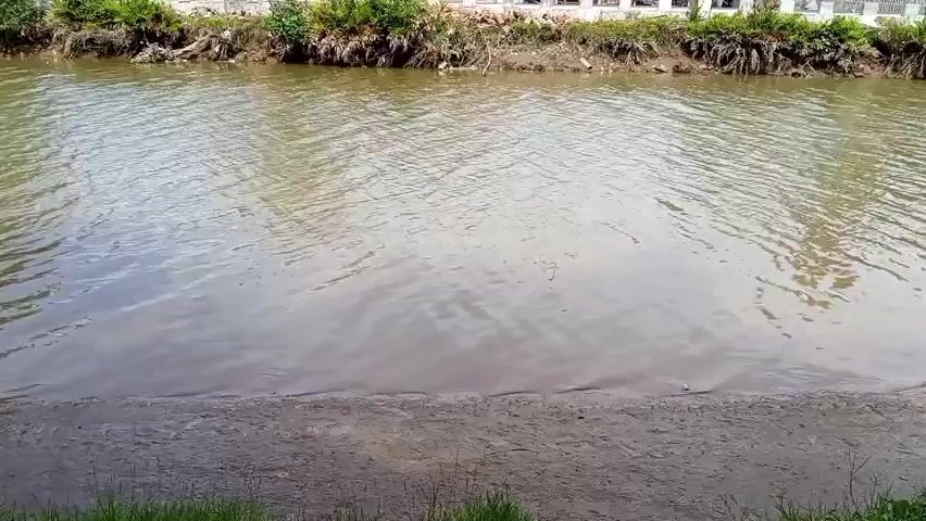 A wide shot of a brown river with some ripples on its surface. The riverbank is visible in the foreground with some sand and debris. Across the river, there is a street with houses, trees, and some people. The houses are modern in design. The overall environment appears to be a rural or suburban area. The video is static, showing no movement.