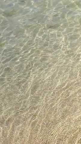 The video shows a shallow body of clear water over a sandy bottom. Sunlight reflects off the rippling surface, creating shifting patterns of light and shadow. In the distance, a beach with many people swimming, sunbathing, and wading is visible. The water is calm, and a few small fish can be seen swimming near the shore. The sky appears clear and blue.