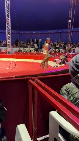 The video shows a circus act taking place in a tent. In the center ring, a young woman in a shiny outfit is performing with dogs. One dog is standing on its hind legs, its front paws on the woman's shoulders. Another dog is nearby, sitting in a small stroller. There are low hurdles on the ground near the woman. The audience is seated in the background. A person wearing a green camouflage jacket and gray beanie is partially visible in the foreground. The ring is red, and the interior of the tent is a deep blue. The scene is lit by bright spotlights.