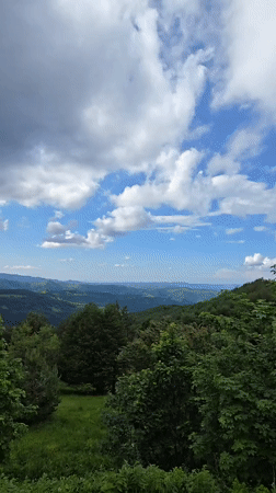 Witness documents Bulgarian mountain views, aquarium fish, decorative bicycle