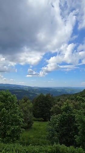 Witness documents Bulgarian mountain views, aquarium fish, decorative bicycle