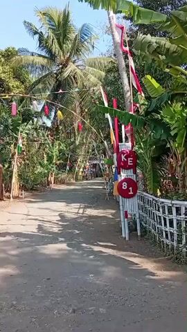 A dirt road lined with trees and palm trees. The road is decorated with red and white flags and colorful paper lanterns. There are bamboo poles with red circles and white lettering spelling out "HUT RI 81" on the right side of the road. The scene appears to be outdoors on a sunny day.