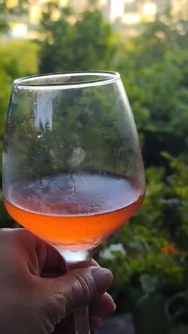 A hand holds a stemmed wine glass filled with a pale orange liquid, possibly rosé wine, against a backdrop of lush green foliage. The glass is slightly frosted, indicating it's cold. Beyond the leaves, a city stretches across rolling hills under a soft, pale sky, suggesting it's either early morning or late evening. The city buildings are varied in height and color, with many appearing to be apartment blocks. The overall scene evokes a sense of relaxation and enjoyment of a beautiful view with a refreshing drink. The time of day is likely dusk or dawn given the soft, warm light. There is some visible text on the glass, but it is not legible.