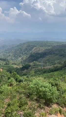 The video shows a scenic overlook with a lush, green mountainous landscape under a partially cloudy sky. The vegetation is dense and varies in height, covering the rolling hills that stretch towards the horizon. In the distance, a body of water is visible, possibly a lake or a part of the coastline, adding depth to the vista. A yellow railing runs along the viewpoint's edge. The perspective suggests the camera is positioned slightly above the landscape, emphasizing the panoramic view. The lighting is bright, highlighting the greenery and creating shadows.