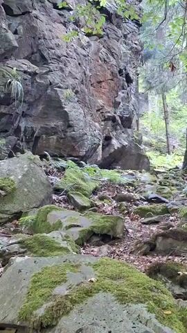 A static shot shows a rocky cliff face and forest floor. The cliff is made of large, irregularly shaped rocks. Some rocks are covered in green moss. The forest floor is covered in rocks, moss, and fallen leaves. Trees with green leaves are visible on the right side of the frame, and some leaves hang from branches in the foreground. The lighting is dim, suggesting an overcast day or a shaded area.