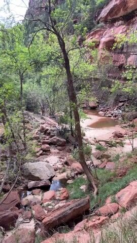 The video showcases a serene natural landscape within a canyon. The scene is dominated by towering red rock formations and cliffs, characteristic of a desert environment with significant geological features. Lush green vegetation, including trees and bushes, thrives along a winding stream with clear water. Numerous red boulders of various sizes are scattered throughout the streambed and along its banks. The camera slowly pans from right to left, revealing more of the verdant foliage and the dramatic red rock walls. In the distance, a small waterfall or cascade can be seen flowing down a rock face. The lighting suggests it is daytime, with a bright sky visible above the canyon walls. No people or text are visible in the video.