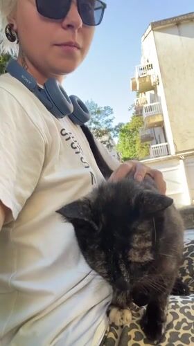 Street animals getting some love in Budva