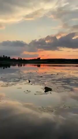 The video shows a tranquil lake at sunset. The water is calm, reflecting the sky, clouds, and setting sun. Lily pads float on the surface. The sun, visible as a red orb, is partially obscured by trees on the horizon. The sky is filled with clouds, some light and some dark, tinted with hues of orange and pink from the sunset. The overall scene is peaceful and serene.