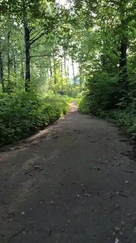 The video shows a dirt path winding through a dense forest. Tall trees with lush green foliage line both sides of the path, creating a shaded canopy overhead. Sunlight filters through the leaves, dappling the ground with light and shadow. The path appears to be well-trodden, suggesting it's a frequently used trail. The overall impression is one of a peaceful, natural setting. It is daytime, likely morning or afternoon, given the sunlight. There are no people or objects clearly visible on the path, and no text is present in the frame. The location is Yanino-2, Russia.