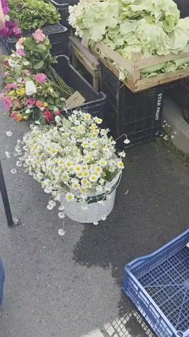 The video shows a flower market. There are crates and containers filled with various types of flowers, including daisies, roses, and purple flowers. The flowers are arranged on tables and on the ground. The ground is paved. A metal post is visible at the beginning of the video. There is also some leafy produce. People are walking in the background.