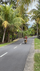 Children ride electric scooter on palm-lined road in Indonesia
