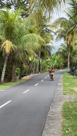 A young child, wearing a red shirt and red baseball cap, is driving a yellow electric scooter along a paved road flanked by palm trees. A second child is riding behind them. Both children are smiling and waving. The road has white lane markers and a narrow shoulder with grass on each side. In the background, there are additional trees and buildings, with another person visible walking in the distance.