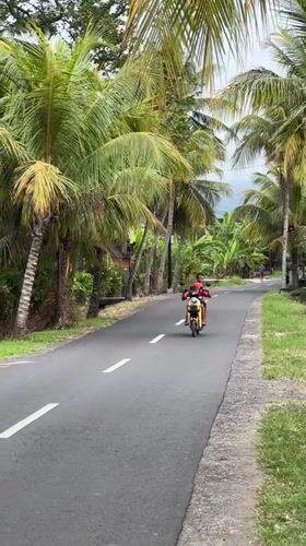 Children ride electric scooter on palm-lined road in Indonesia