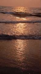 Sunset beach activities documented at Arambol, India