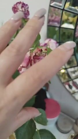 A person's hand with manicured nails gently squeezes a wilting pink rose. The rose appears dry and delicate, with petals beginning to curl and brown at the edges. In the background, a mosaic mirror reflects greenery and what appear to be other wilting flowers. Several containers, one with a pink lid, are visible on a surface beneath the flowers.
