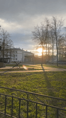 Everyday moments captured: selfies, park scenes, manicured nails