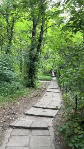 A stone pathway curves through a dense, green forest. The pathway is made of irregularly shaped flagstones and is bordered by a simple green rope fence. Lush trees and foliage line both sides of the path, creating a canopy overhead. In the distance, the path appears to lead towards a structure or an area with more vegetation. The lighting suggests an overcast or shaded day.