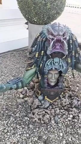This video shows a statue of the Predator character from the movie franchise, placed in a rocky outdoor environment. The statue depicts the Predator's head and upper torso emerging from the ground, with its iconic mandibles visible and dreadlocks cascading down. Below the Predator's head, a human face is embedded in the statue's chest armor, surrounded by what appears to be a helmet adorned with skulls. The statue is detailed and appears to be made of resin or a similar material, with painted textures and metallic accents. The surrounding area is covered in gravel and small rocks, with a green bush visible behind the statue. The lighting suggests it is daytime, and the overall scene is outdoors.