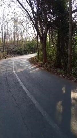 The video shows a paved road curving through a wooded area with trees lining both sides. Sunlight filters through the leaves, casting shadows on the asphalt. A small, rustic building with a tiled roof and brick walls is visible on the right side of the road, partially obscured by trees and vegetation. The building appears somewhat weathered, with debris and foliage around its base. The overall scene suggests a rural or semi-rural environment.