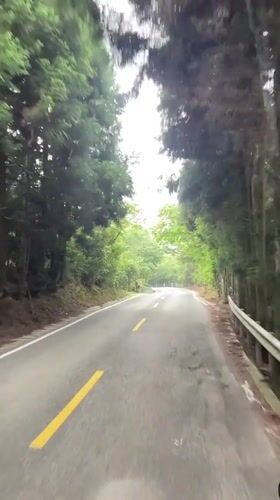 Vehicle travels tree-lined road in Jundiping, China