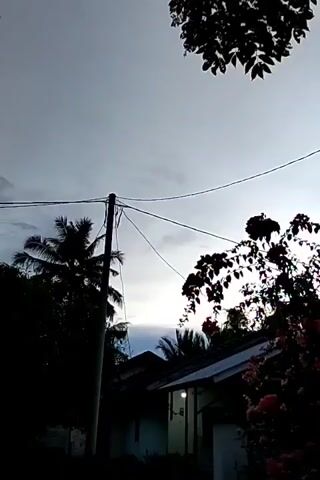 The camera looks upward to the sky, revealing an overcast, bright sky peeking through the clouds. Silhouetted trees are positioned in the foreground, with a dense, round-shaped tree directly above. Power lines run across the frame. A corner of a building, appearing to be the roof overhang, intrudes on the right side of the shot. The camera pans slightly upwards. A bush with pink flowers is visible in the lower right, partially obscuring a building with a light on. A palm tree and a utility pole are also seen, further back. The scene suggests an early morning or late evening atmosphere.