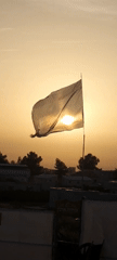 Tattered Israeli flag captured against golden sunset in Lachish