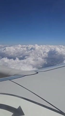 The video shows a view from an airplane window as it flies above a layer of white clouds. The sky is a clear, bright blue. The wing of the airplane is visible in the foreground, showing its white surface and dark lines. A black arrow shape is also visible on the wing's surface. The camera is stationary.